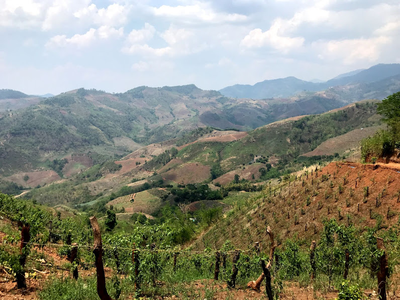 Mountain view along the Doi Chang Mountain Road