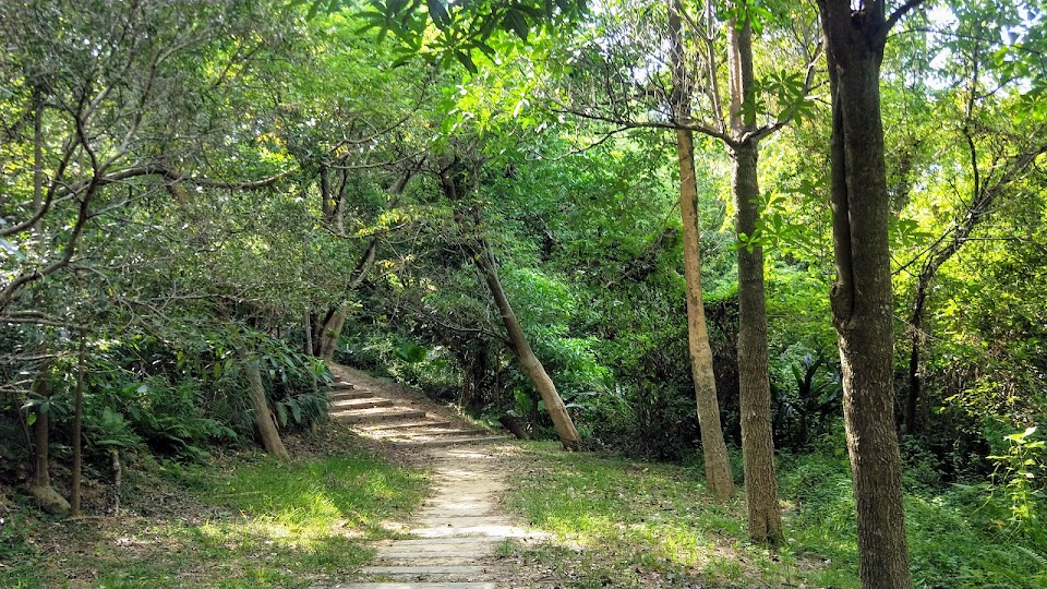 新竹 香山 - 青青草原 - 青青步道(泥土、階梯)