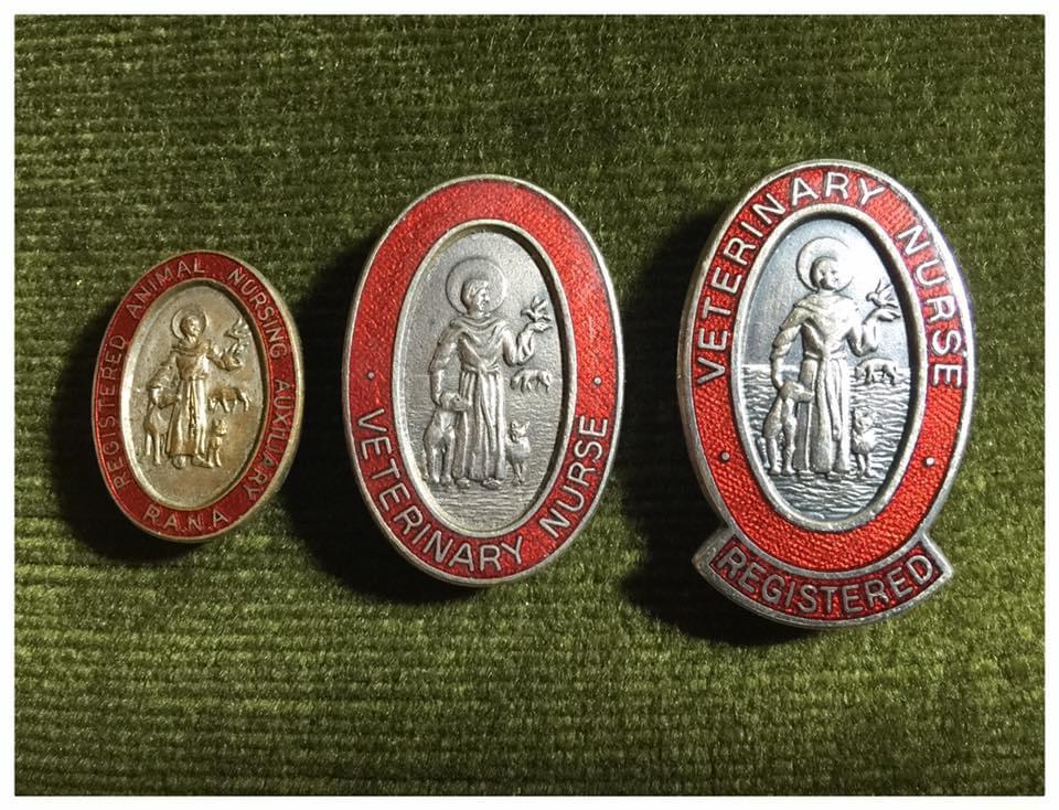3 RCVS nurses' badges