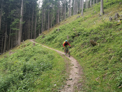 Martin descending