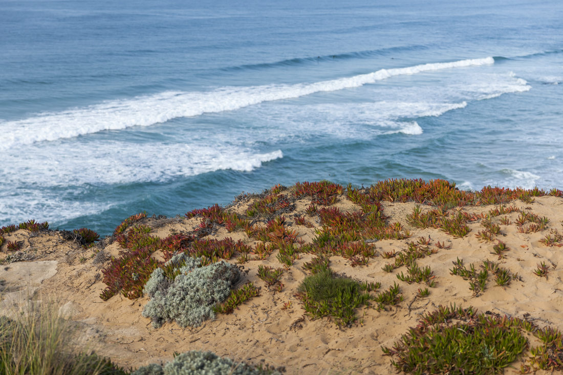 Треккинг на юге Португалии в январе: Rota Vicentina и Fishermen's trail (много фото)