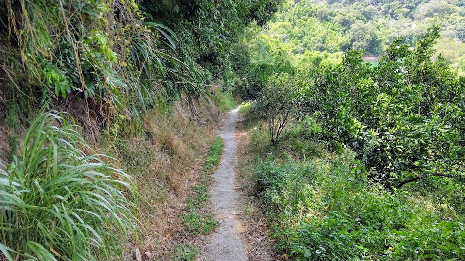 新竹步道 - 寶山水庫環湖步道