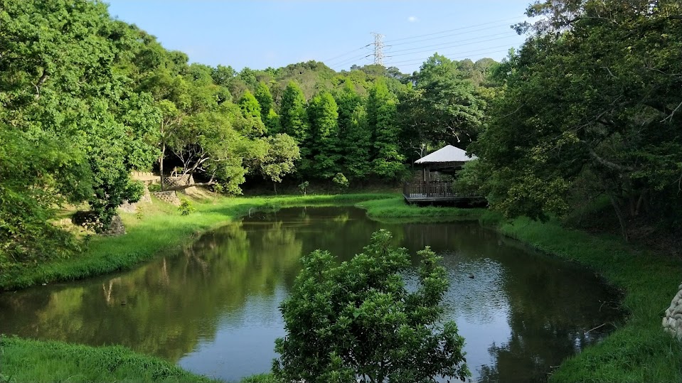 新竹 香山 - 青青草原 - 青青步道(柏油路)