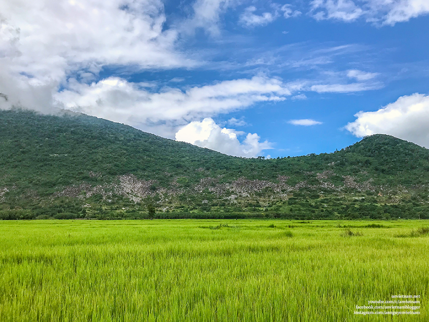 Tây Ninh có gì đẹp: 2 cây thốt nốt Tình Yêu Kvan