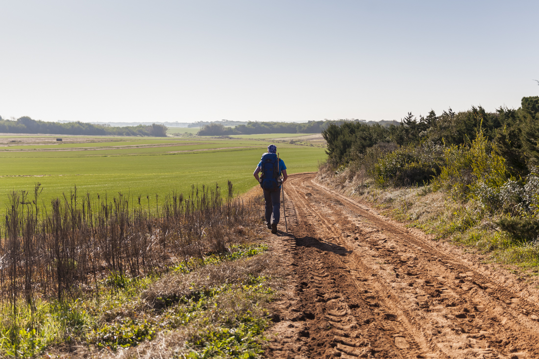 Треккинг на юге Португалии в январе: Rota Vicentina и Fishermen's trail (много фото)