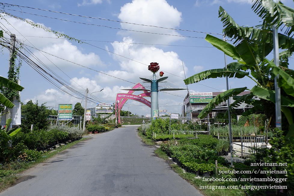 Dạo lòng vòng làng hoa Sa Đéc