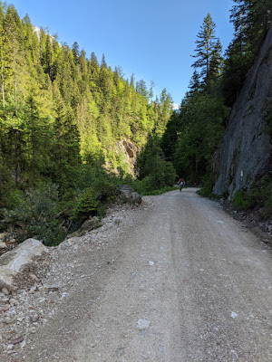 Ascent along the Ampelsbach