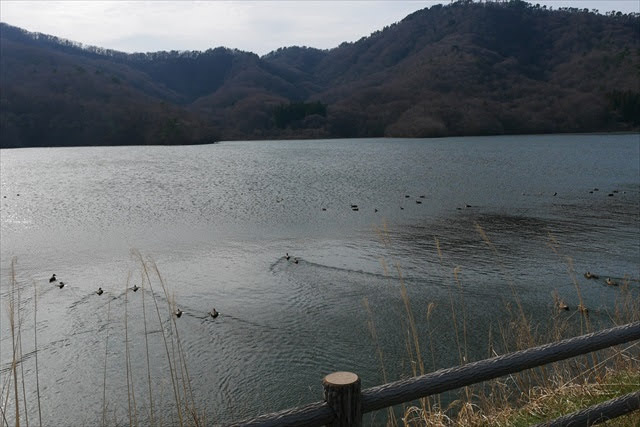 大山上池・下池