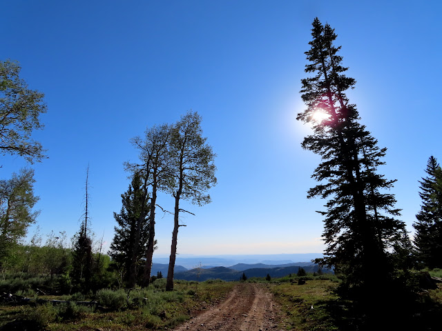 Start of the hike right from camp