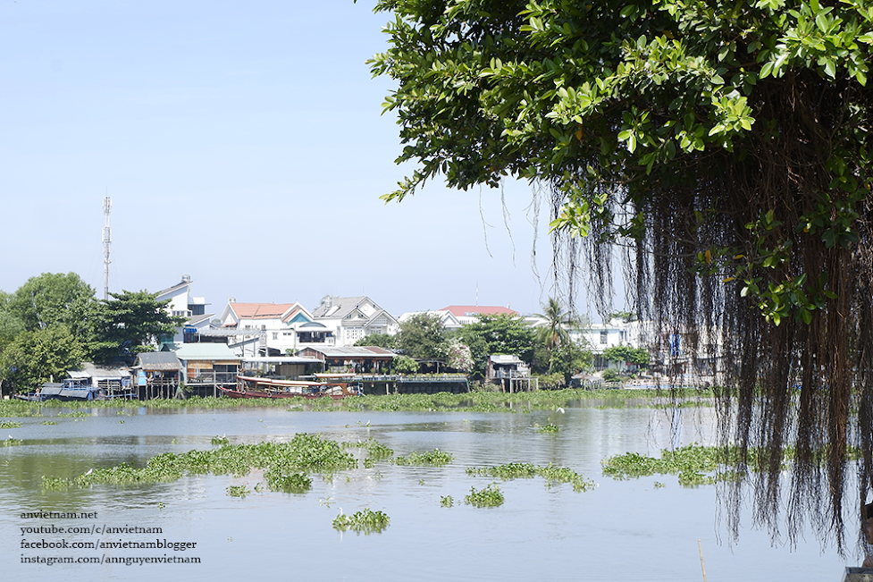 Thú vị đình Tân An (đình Bến Thế) ở Bình Dương với hai cây đa quấn quanh cổng đền