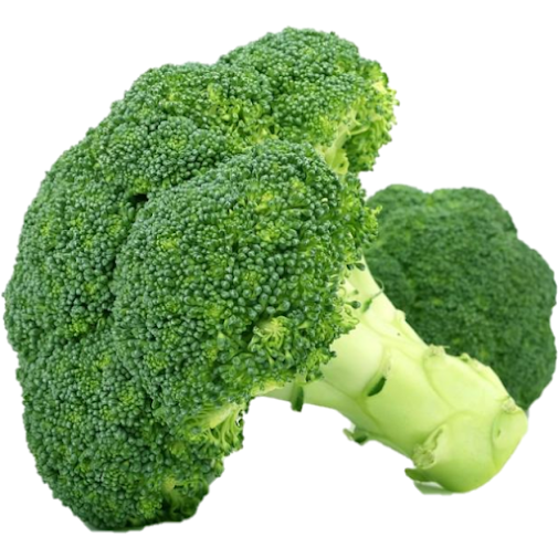 Broccoli 綠花椰菜