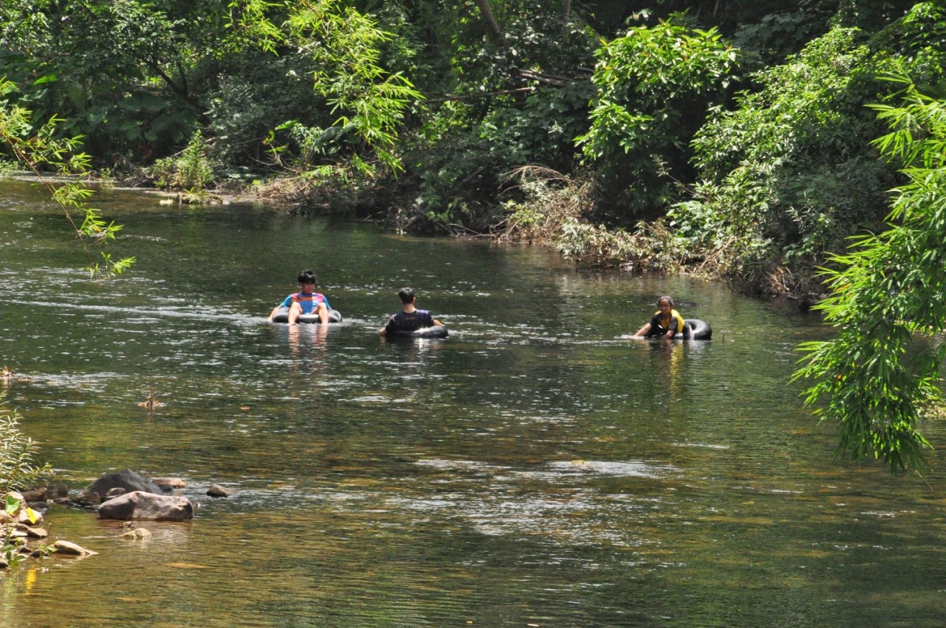 Khao Sok National Park
Thailand
River
Floating on a tyre