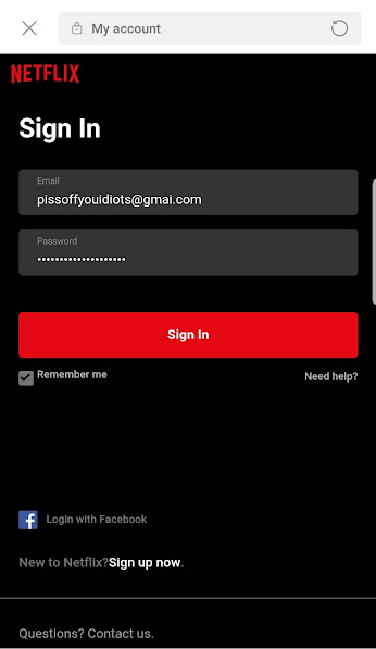 netflix fake log in page scam