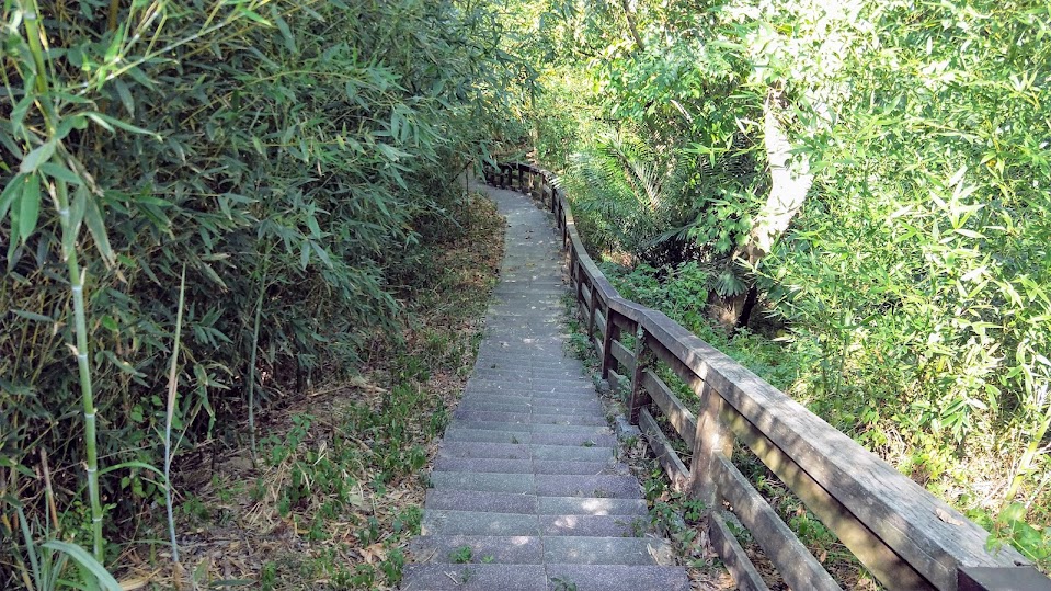 新竹步道 - 十二寮山登山步道