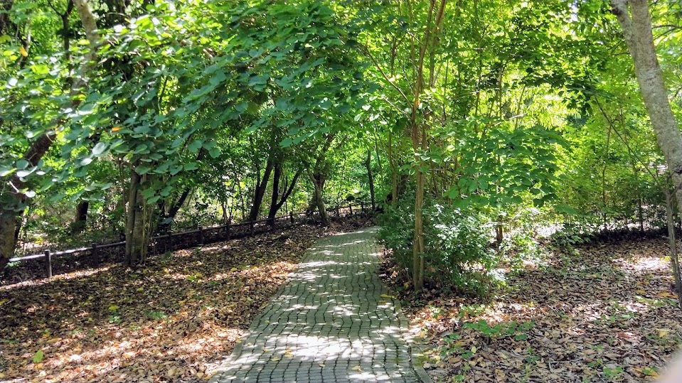 赤水崎步道 - 彰化 田中