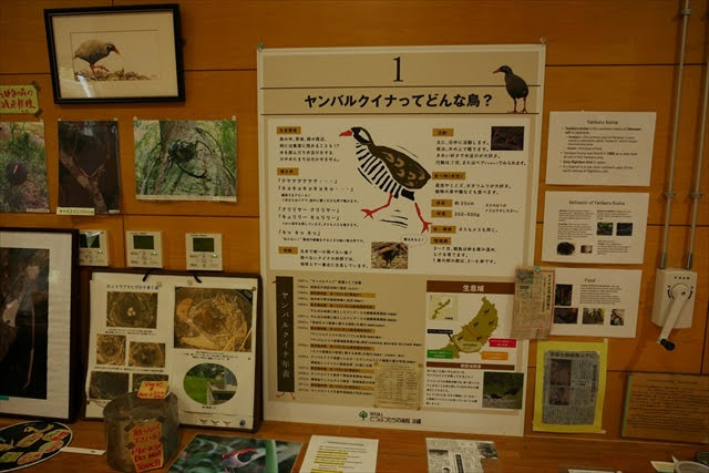 ヤンバルクイナ生態展示学習施設