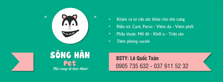 Phòng Khám Thú Y Đà Nẵng
