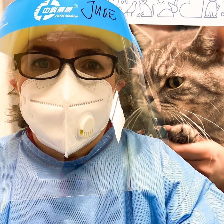 A veterinary nurse wearing PPE during COVID-19 in 2021