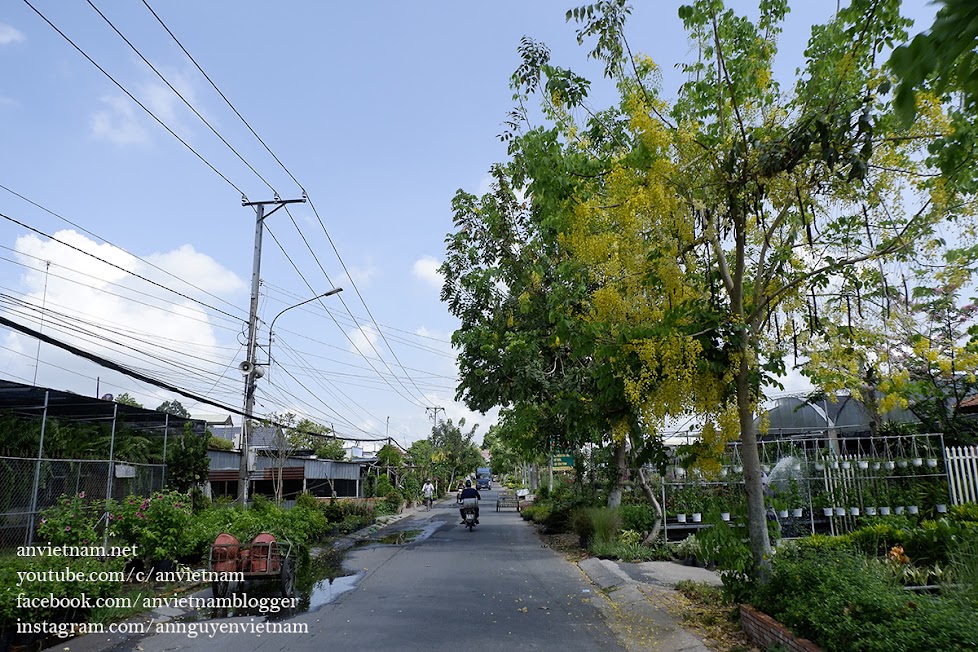 Dạo lòng vòng làng hoa Sa Đéc