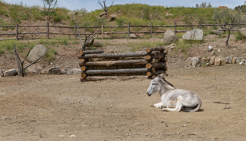 Puy du Fou España & Toledo - Trip Report 2021 ACtC-3dTjJxMgMBJJVn0oCXZ1Egf_JPUmU-KL8Fh-BfVb9TWrVc40gYChHtRbrmKj8Xvy1q-Wp0sHwQz6dCf4L7eTZ3krx3m83S8nYnc39e4eJpF4ZnpYI4BSm8vrCVJKJOE-KXT4vlkA5Wn2mDBBFgG3NNqoA=w800-h461-no?authuser=0