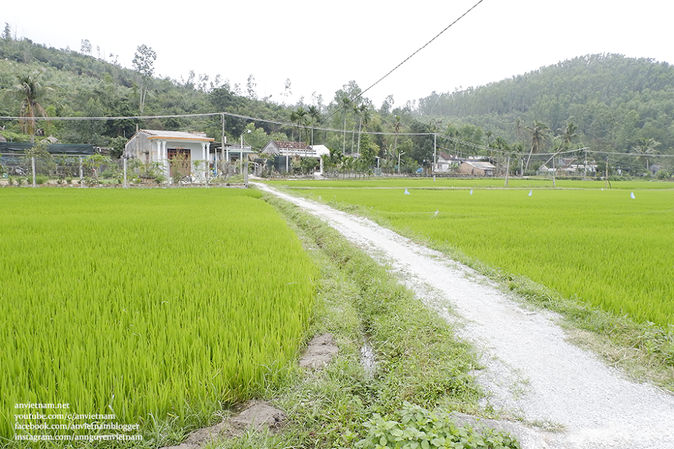 Du lịch bụi Quảng Ngãi: phong cảnh đầm An Khê