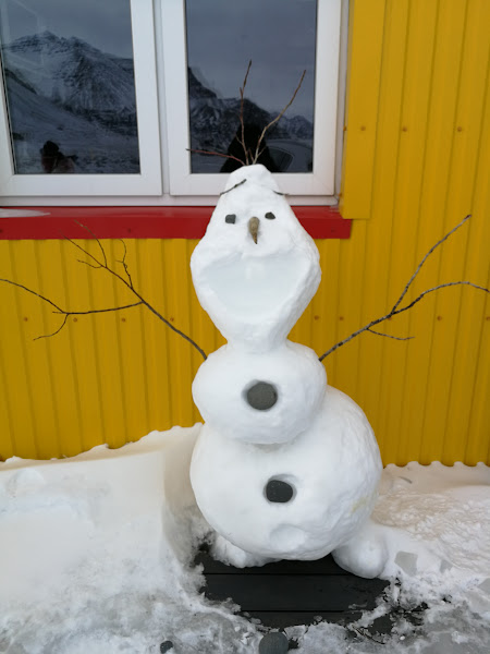 В Исландию за снегом! Юг и полуостров Snæfellsnes. 11 дней в феврале-марте 2020