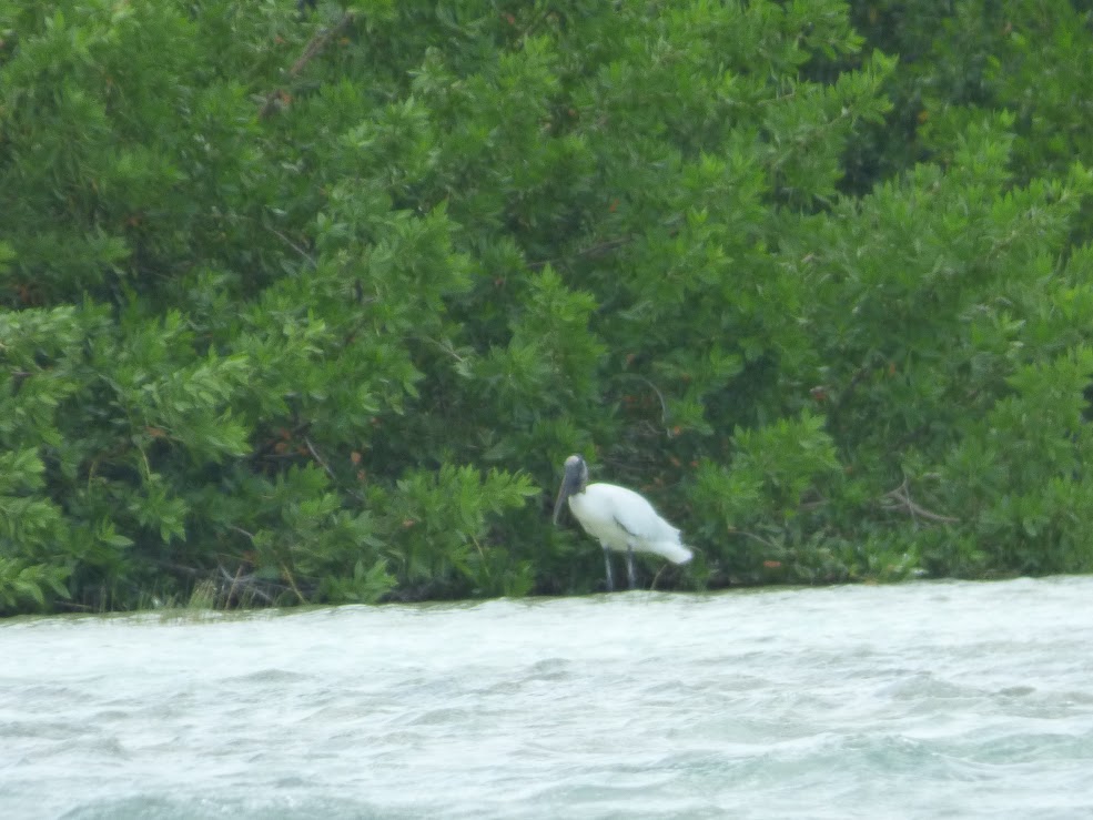 lagune Bacalar