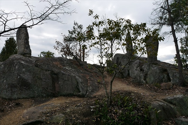 新高山城