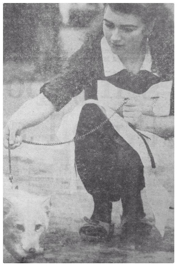 An old black and white photograph taken in 1981 of a student veterinary nurse looking at an artic fox.