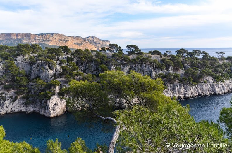 Calanque Port Pin