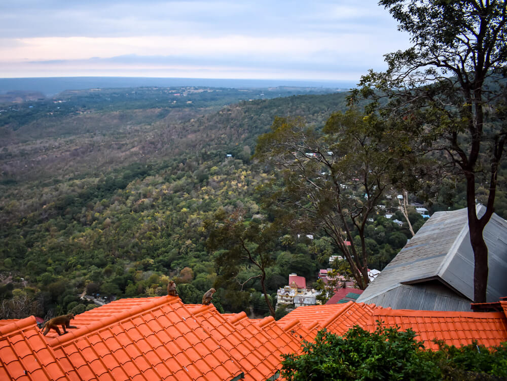 monkeys on the staircase to mountain popa.jpg