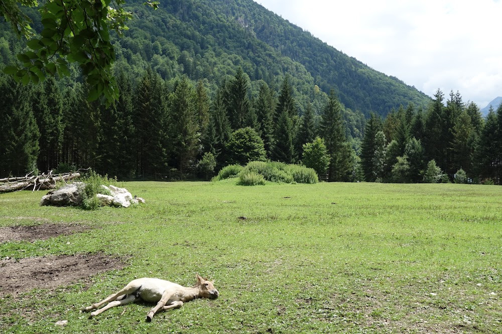 Земля Верхняя Австрия (Bundesland Oberösterreich)