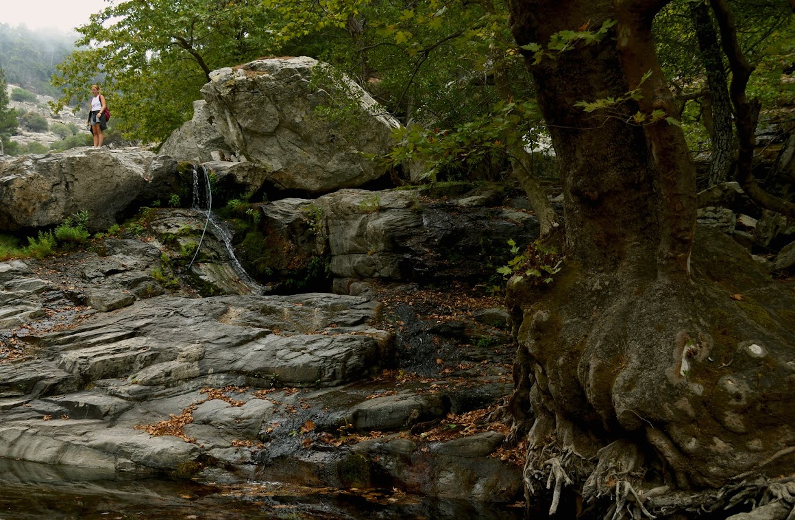 Inside the rock bottom of the mountain gorge 1