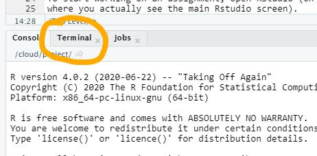 Image of main input area in Rstudio (typically lower left quadrant).  Terminal tab is circled