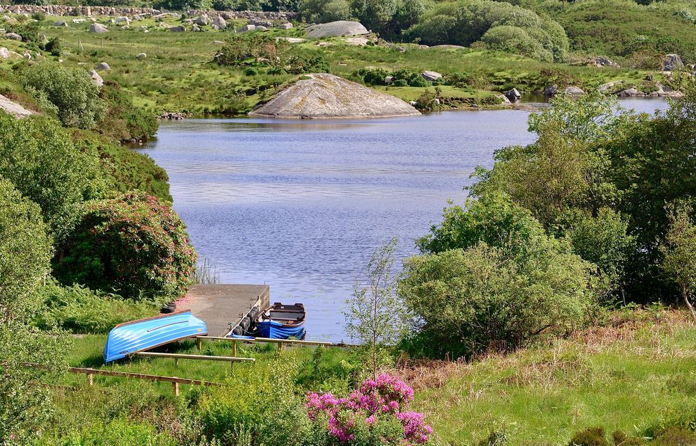 Turlough, os lagos que desaparecem da Irlanda