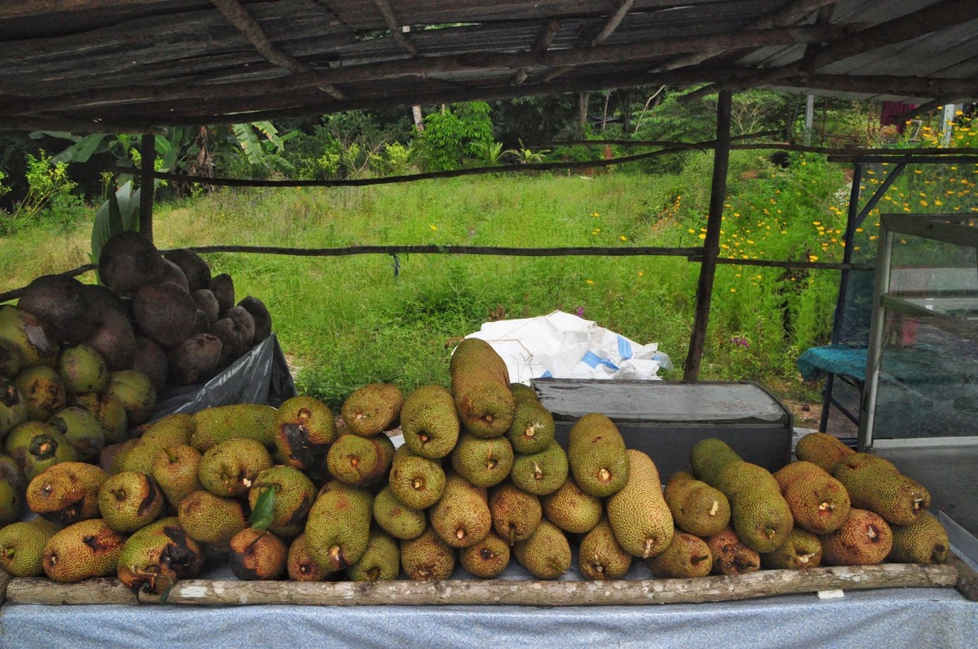 Jackfruit
Fruit
Thailand