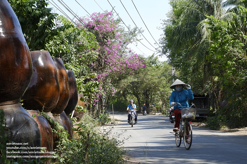 Thú vị đình Tân An (đình Bến Thế) ở Bình Dương với hai cây đa quấn quanh cổng đền