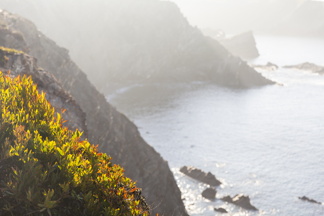 Треккинг на юге Португалии в январе: Rota Vicentina и Fishermen's trail (много фото)