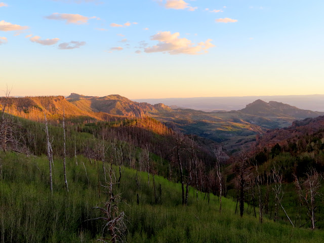 View from camp into the Right Fork of Sanford Creek