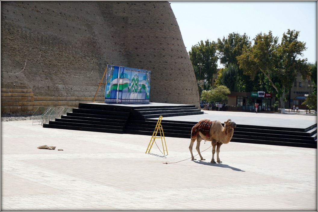 Восточная сказка - Узбекистан. Фотозарисовки. сентябрь 2019 года