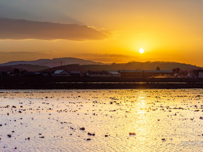 [最も欲しかった] 夕陽 画像 149846-夕陽 画像