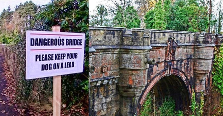 Ponte Overtoun, a ponte dos suicídios de cães