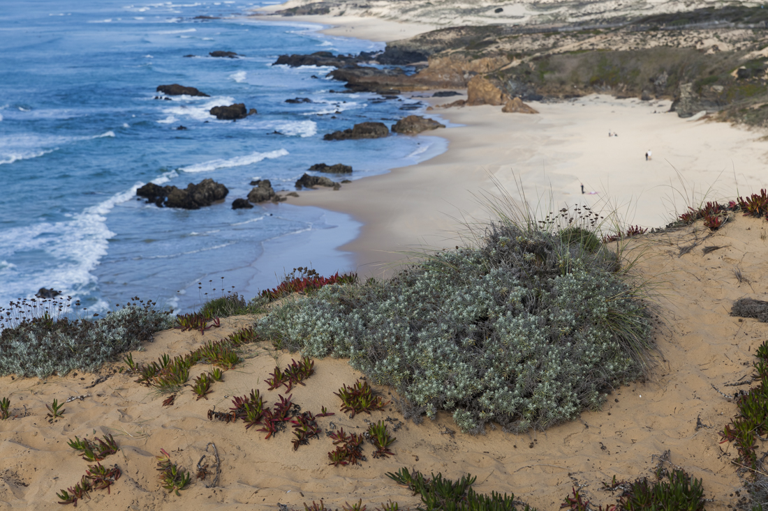 Треккинг на юге Португалии в январе: Rota Vicentina и Fishermen's trail (много фото)