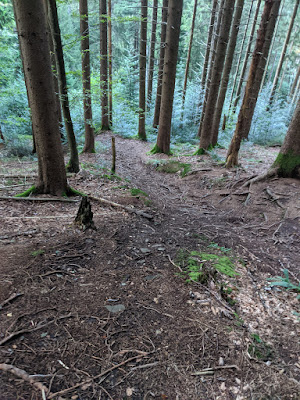 Wasenkogel trail: Bottom part (the last 1/4 of the trail is steeper)