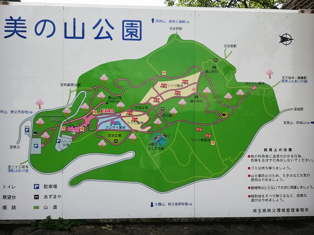 美の山公園 天空のあじさい 秩父 Another Way