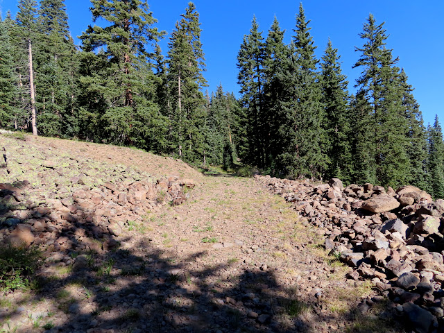 Logging road dozed through some rocks