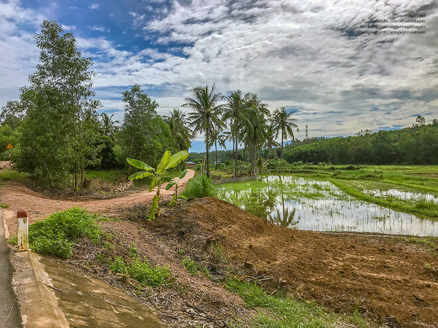 Thanh bình và ấn tượng phong cảnh quê hương Bình Định