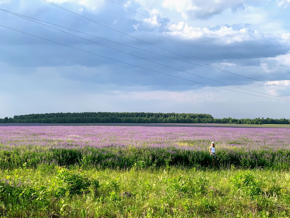 Выходные под Тулой. Июнь 2019.