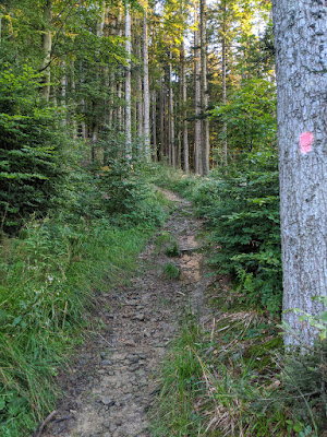 Wasenkogel trail: Variety of terrain