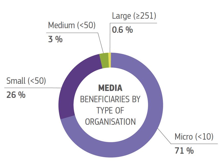 Beneficiari MEDIA